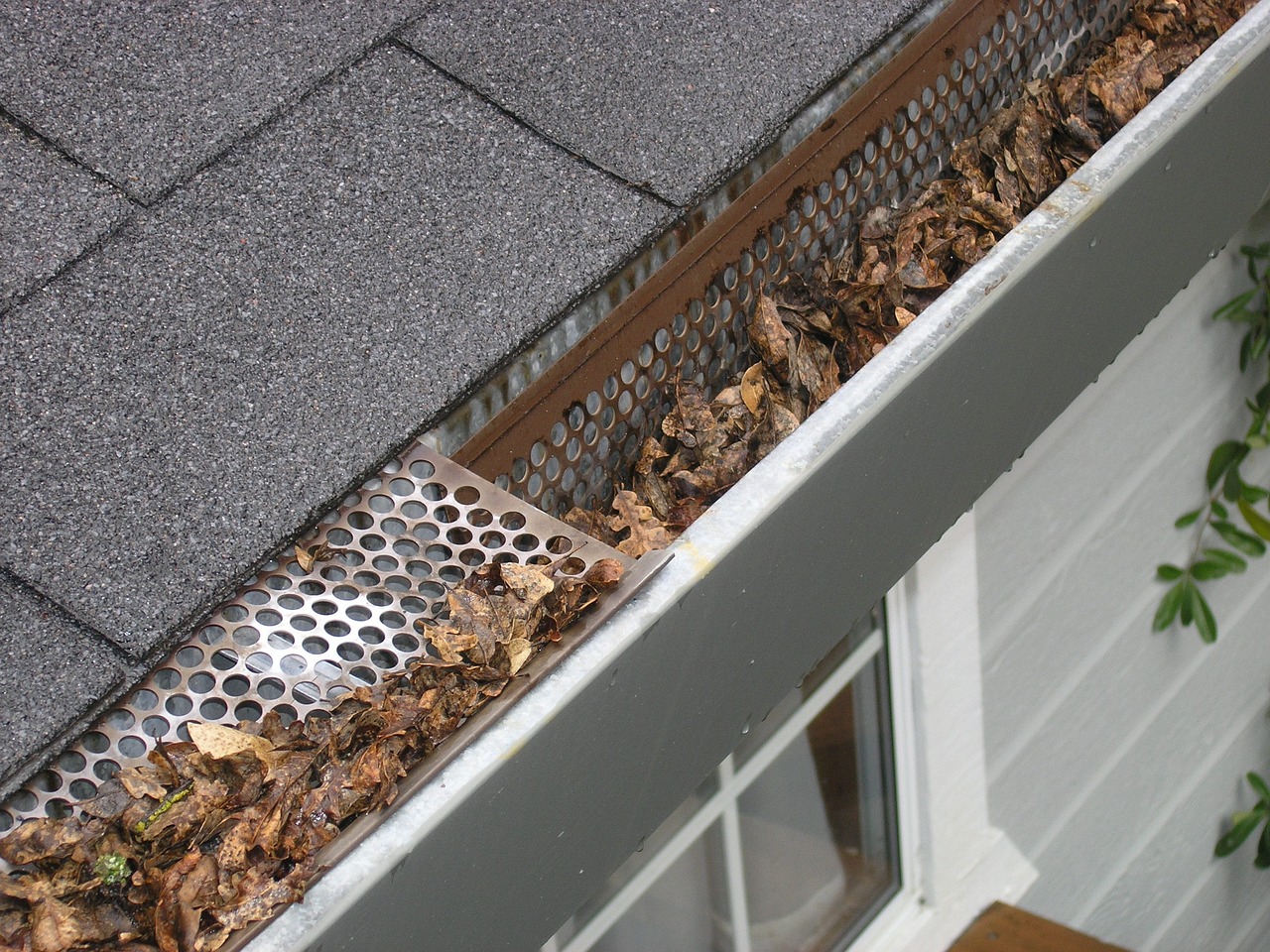 gutter-guard-ipswich-2434467_1280 Gutter Cleaning