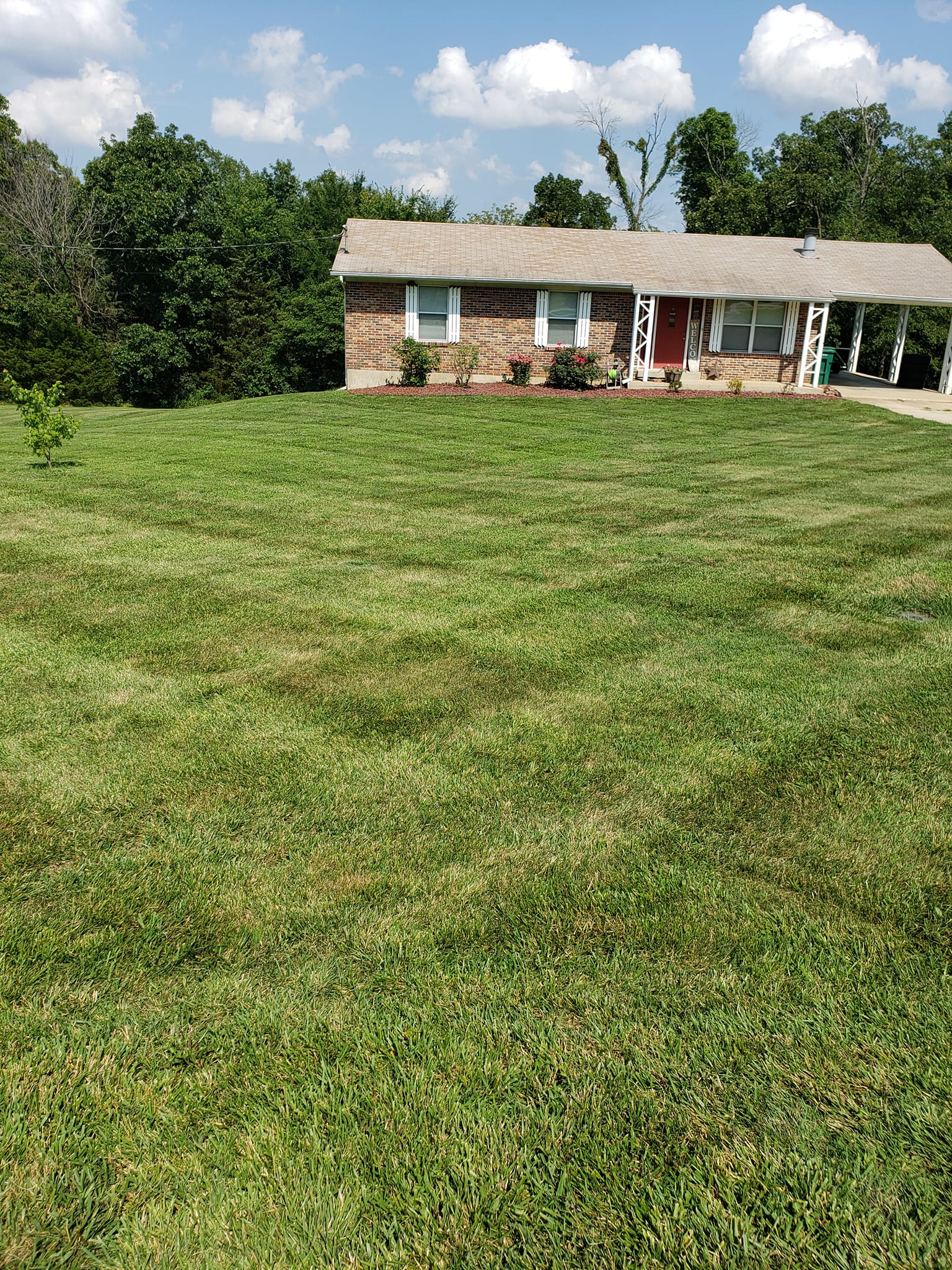 Residential Cut Grass